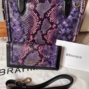 Brahmin Pink and Black Snakeskin Bag